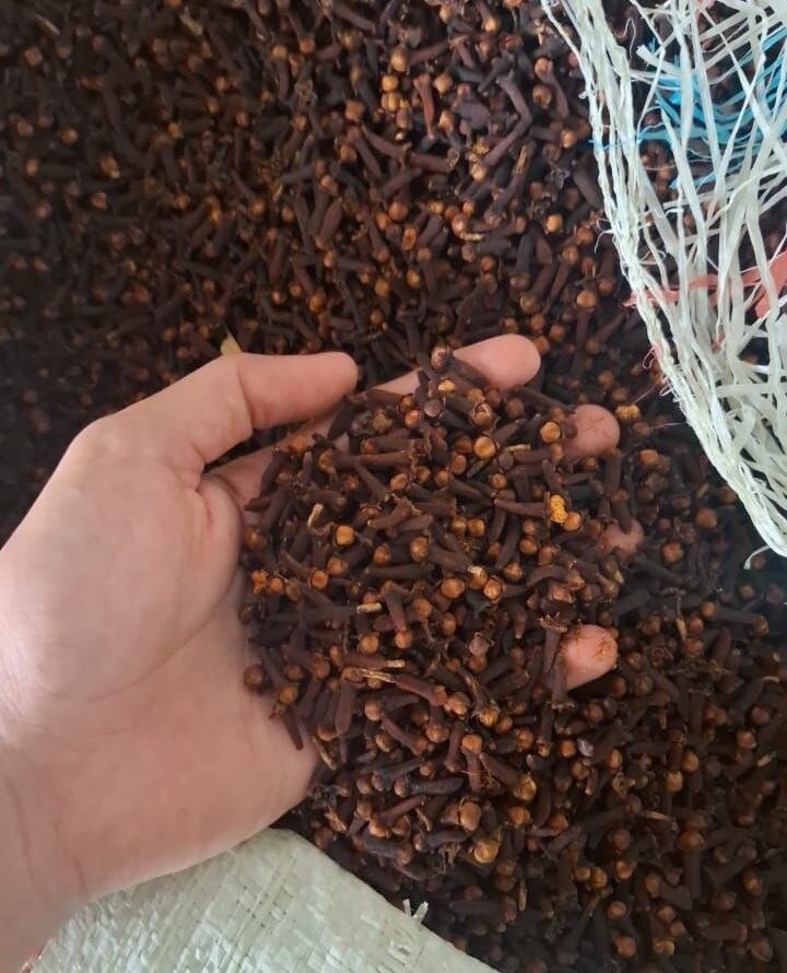 Agricultural Export